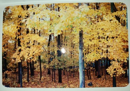 Beautiful in every season.