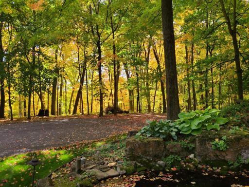 Surrounded by nature