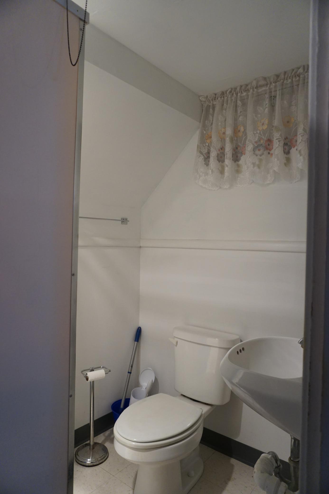 Lower Level bath/shower