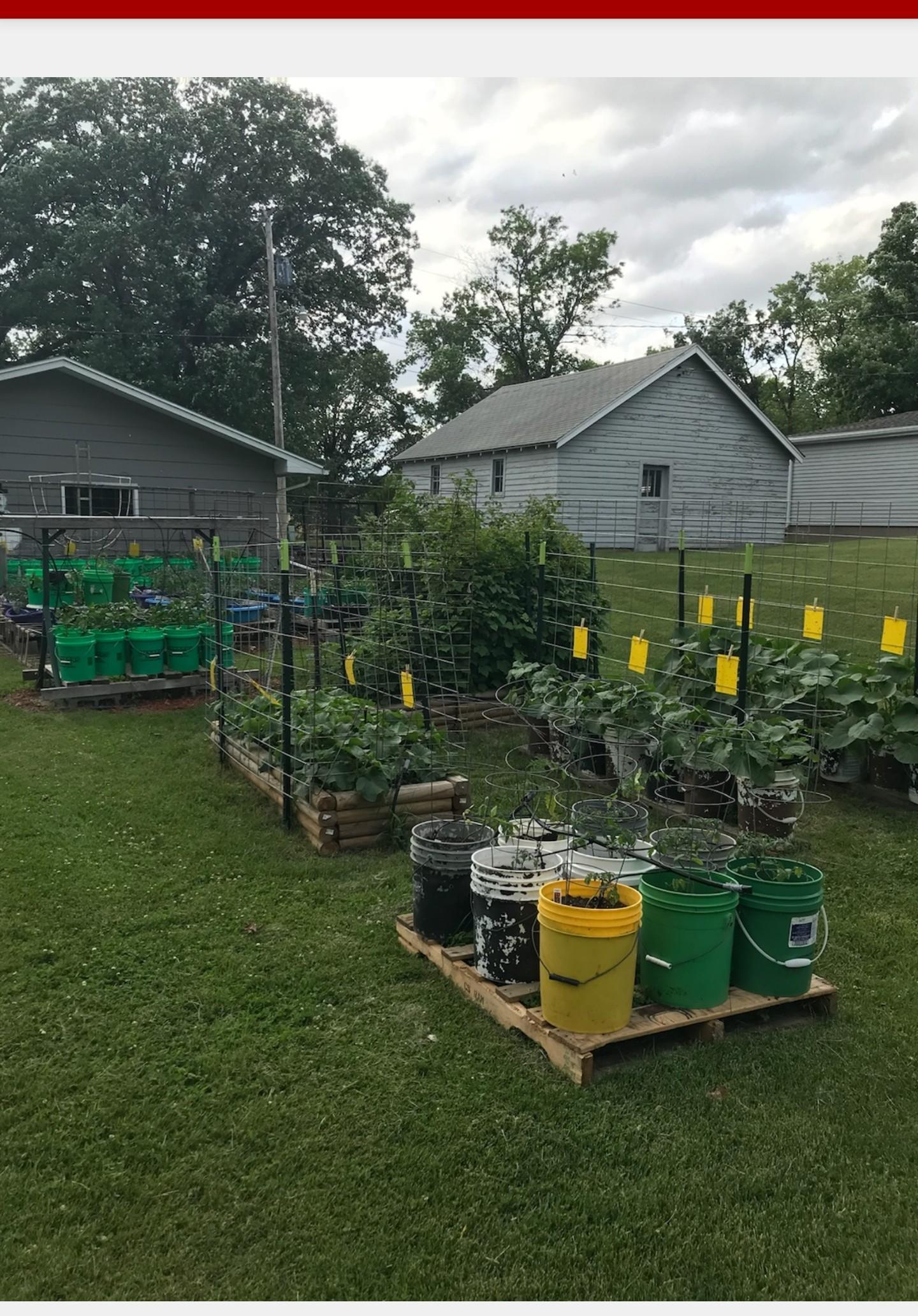 Garden from previous year