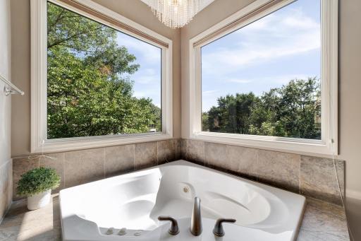 10677 Sonoma Ridge, Eden Prairie, MN 55347