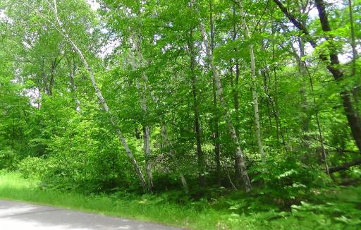 TBD Lot 4 Block1, Crosslake, MN 56442