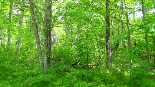 TBD Lot 4 Block1, Crosslake, MN 56442