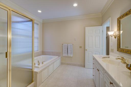 3 Black Lake Court, North Oaks, MN 55127