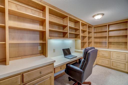 3 Black Lake Court, North Oaks, MN 55127