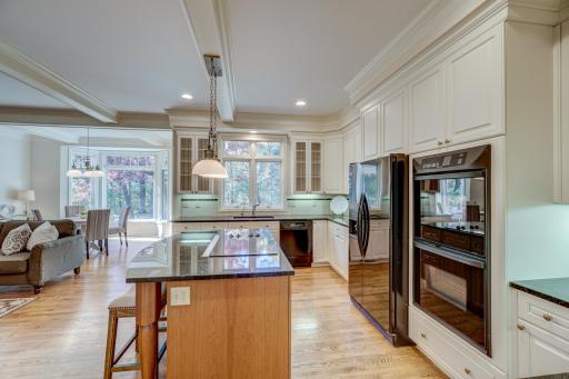 3 Black Lake Court, North Oaks, MN 55127
