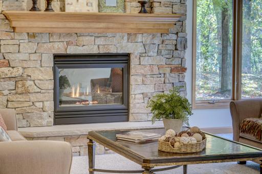 3 Black Lake Court, North Oaks, MN 55127