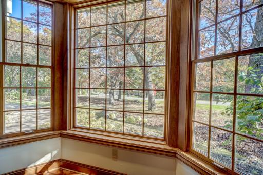 3 Black Lake Court, North Oaks, MN 55127