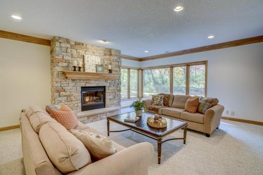 3 Black Lake Court, North Oaks, MN 55127