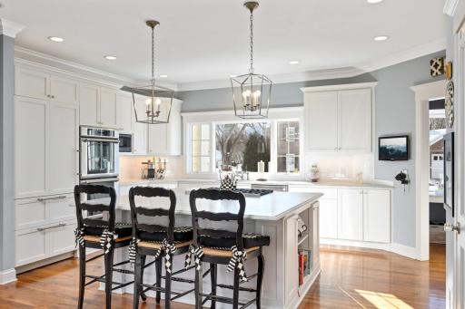Incredible center island gourmet's kitchen