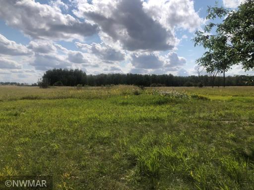 Photo for 14499 158th Street NE, Thief River Falls, MN 56701 - Listing #6259264 14499 158th Street NE, Thief River Falls, MN 56701