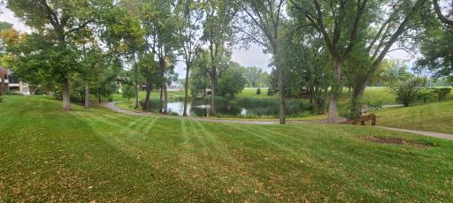 Gorgeous scenery and some of the walking paths that weave throughout the Johnathan Association.