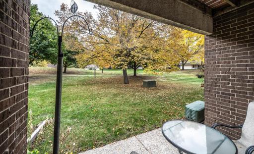 View of the backyard green space from the walk-out patio.