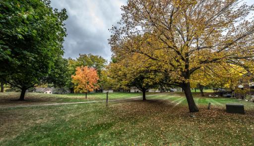 View of the backyard green space.