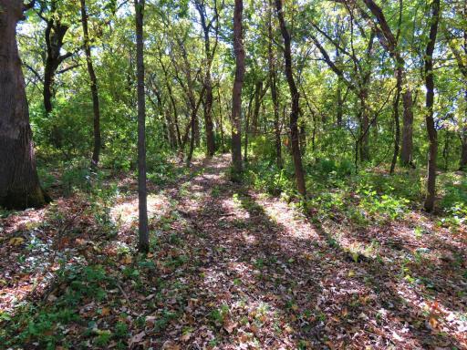 6123 77th Street SE, Clear Lake, MN 55319