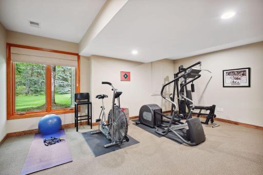 1300 French Creek Drive, Wayzata, MN 55391