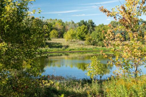 2935 Jonquil Trail N, Lake Elmo, MN 55042