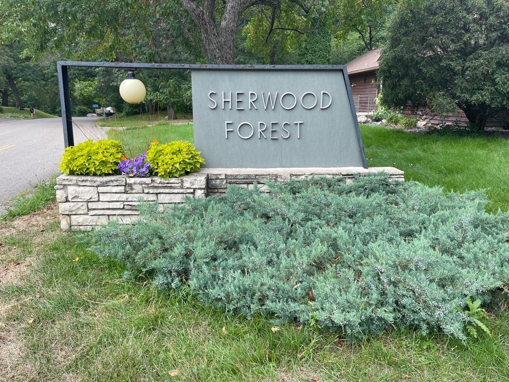 Sherwood Forest.jpg