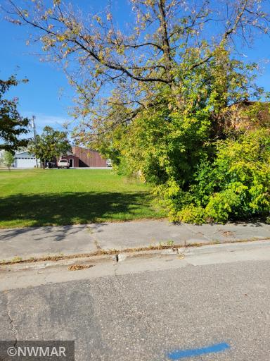 Photo for 219 1st Avenue NE, Baudette, MN 56623 - Listing #6266926 219 1st Avenue NE, Baudette, MN 56623