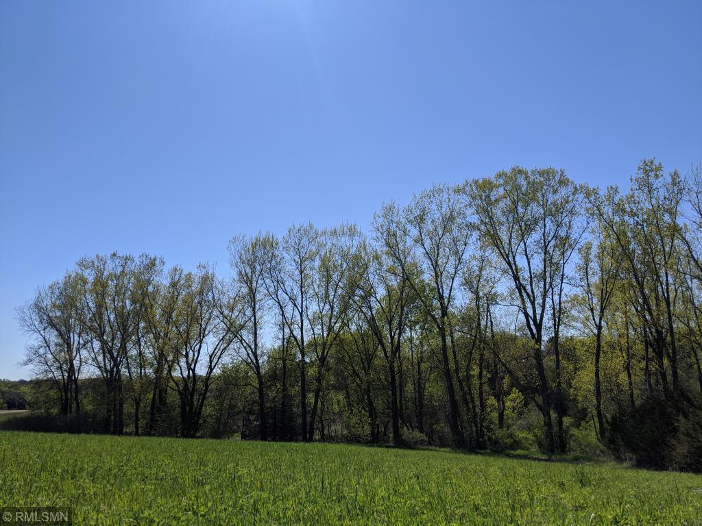 There is a great mix of trees and open space.