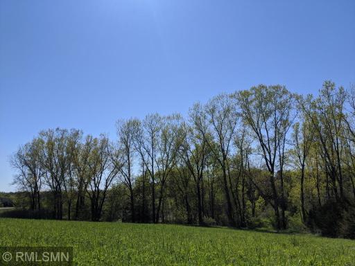 There is a great mix of trees and open space.