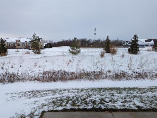 Photo for 12422 Alamo Street NE, Blaine, MN 55449 - Listing #6267681 Winter views of a snow field. In time the pine trees will mature for more privacy and tree views.