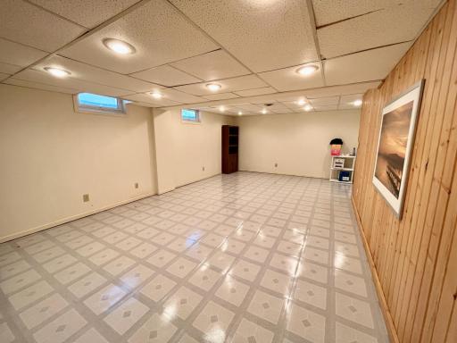 Basement family room