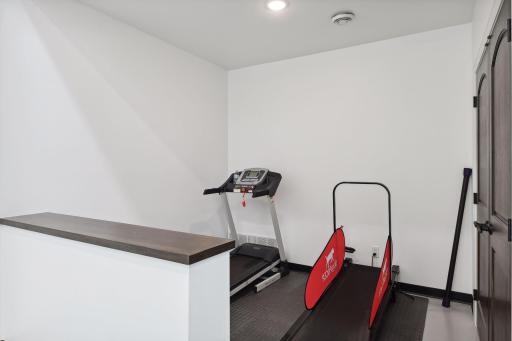 Exercise area with sport court- Ping pong table storage room to the right.