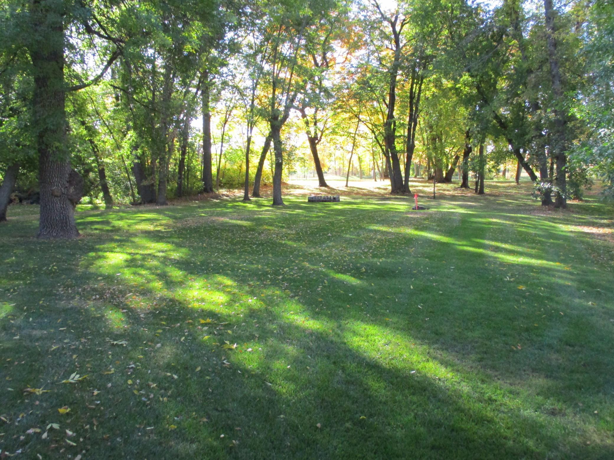 36. Back lot yard.JPG
