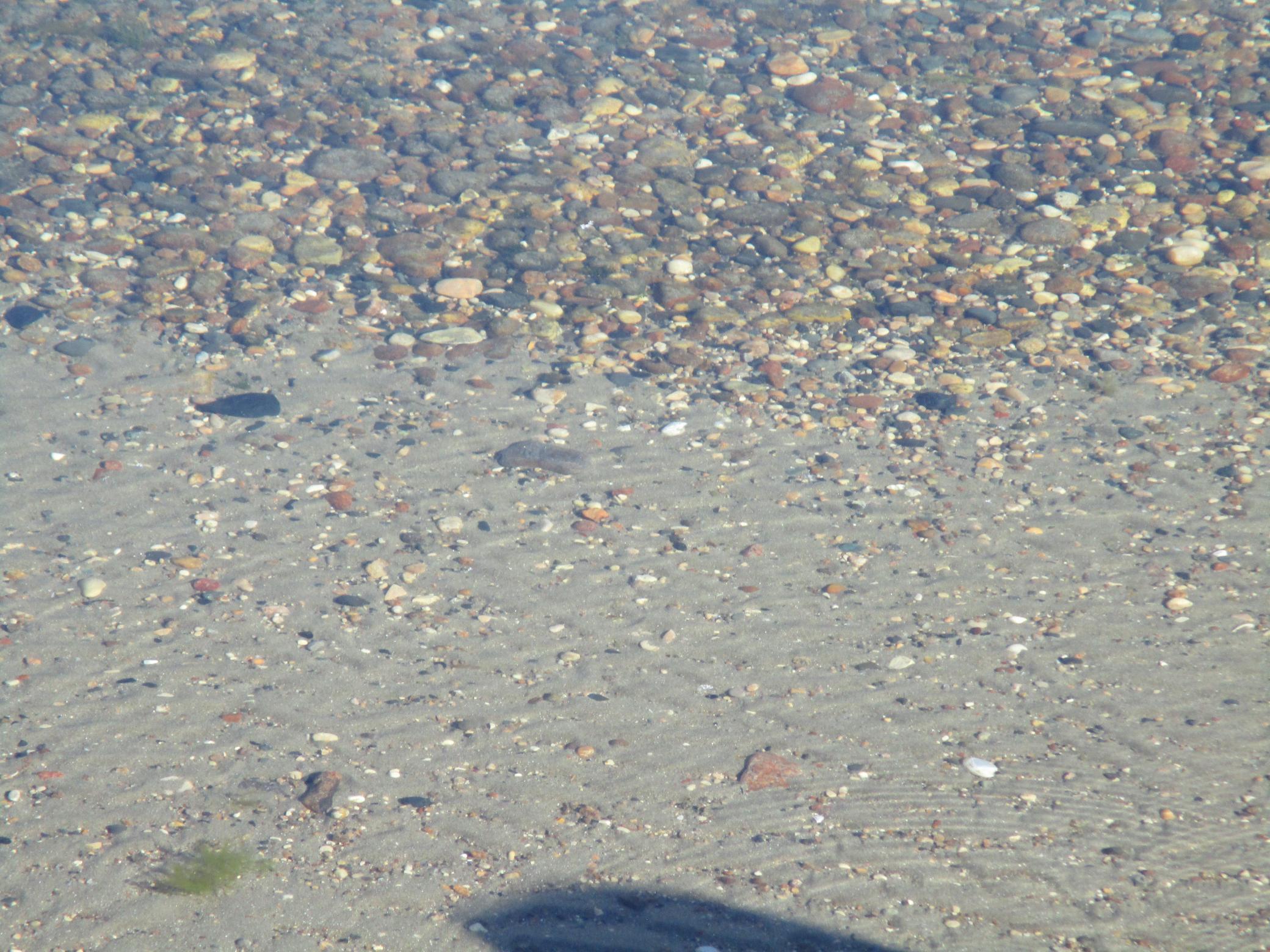 6. Hard Sand Bottom Frontage.JPG