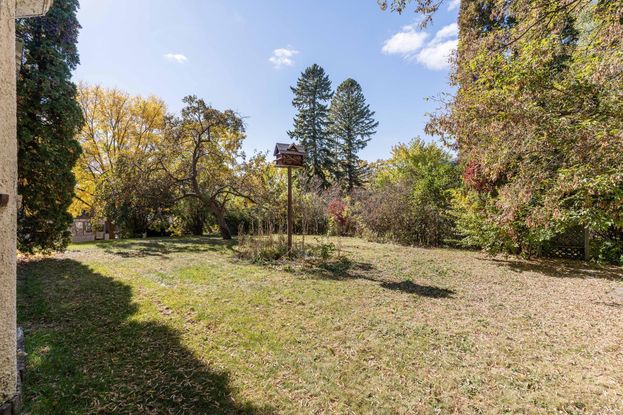 yard