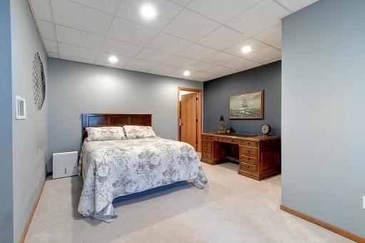 Lower level bedroom with walk in closet and 3/4 bathroom