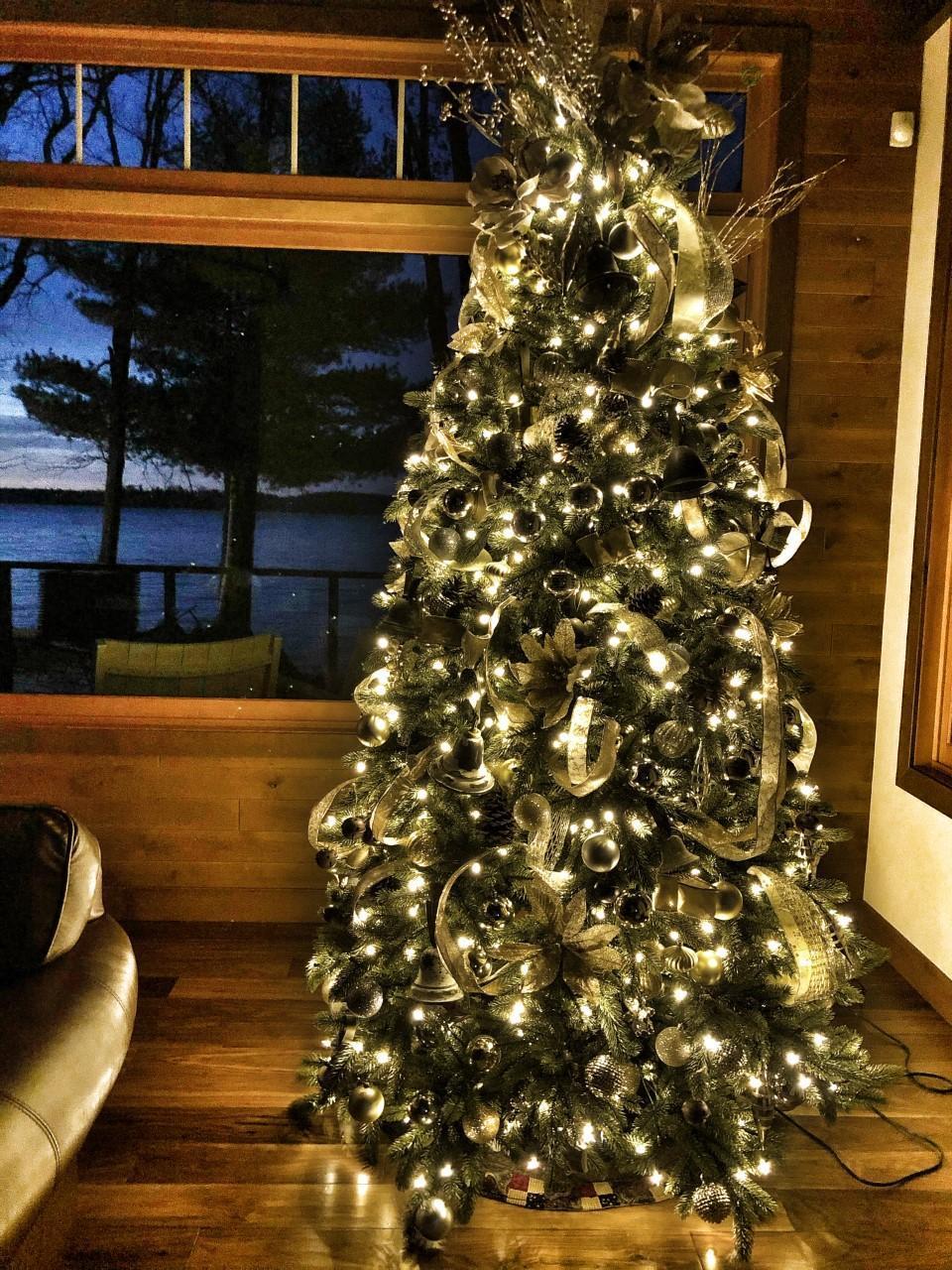 This is the year for your family to enjoy Christmas at the lake!