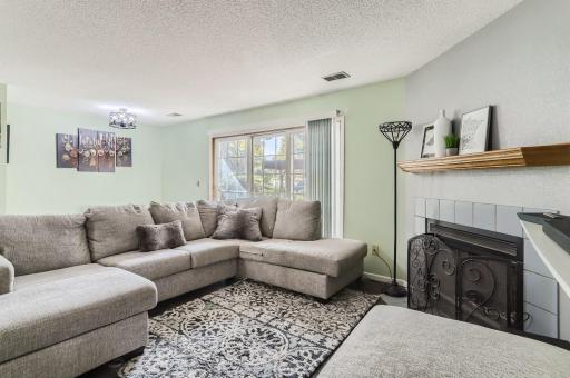 2622 Innsbruck Trail Saint Paul MN - Web Quality - 009 - 10 Living Room.jpg