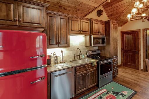 38017 Donaldson Point, Pine River, MN 56474