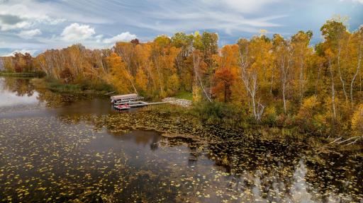 38017 Donaldson Point, Pine River, MN 56474