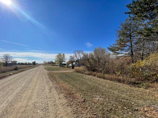 Looking south down the driveway to the main house