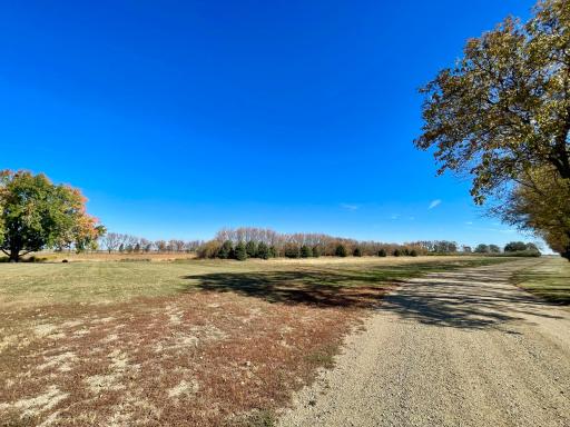 View from west site with driveway heading to east site