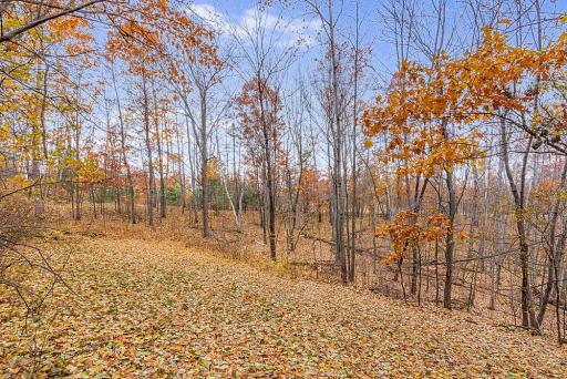 2240 Hunters Point Road SW, Nisswa, MN 56468