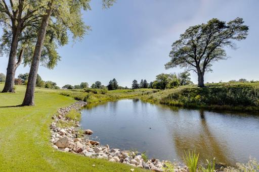 17720 Layton Court, Lakeville, MN 55044
