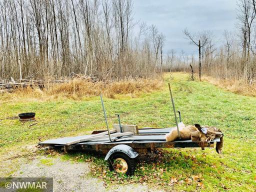 Deer/grouse/bear etc