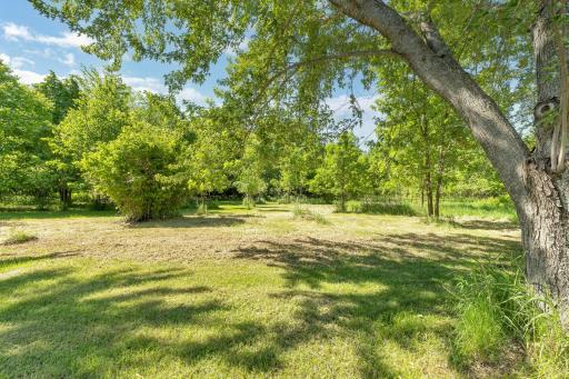 2.5 beautiful buildable wooded Acres