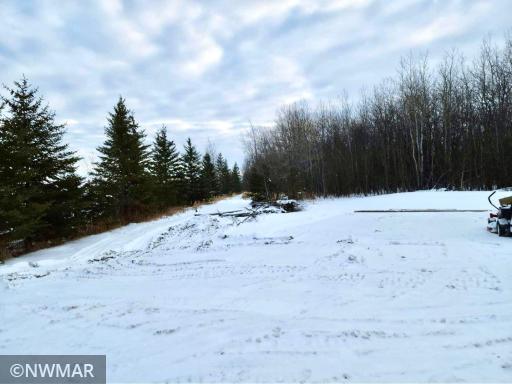 Photo for _ 430th Avenue, Roseau, MN 56751 - Listing #6311601 _ 430th Avenue, Roseau, MN 56751