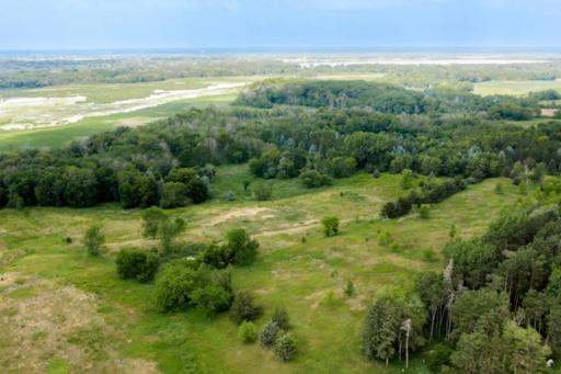 14420 Homestead Avenue N, Hugo, MN 55038