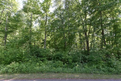 TBD Castle Wood Ct, Breezy Point, MN 56472