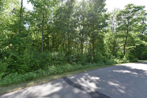 TBD Castle Wood Ct, Breezy Point, MN 56472