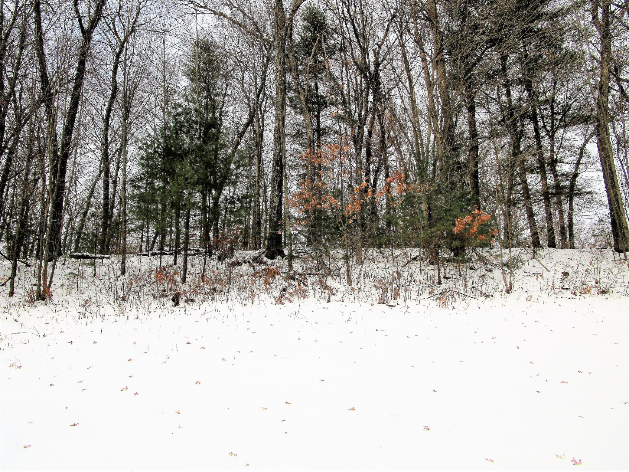 .74 Acre Lot
