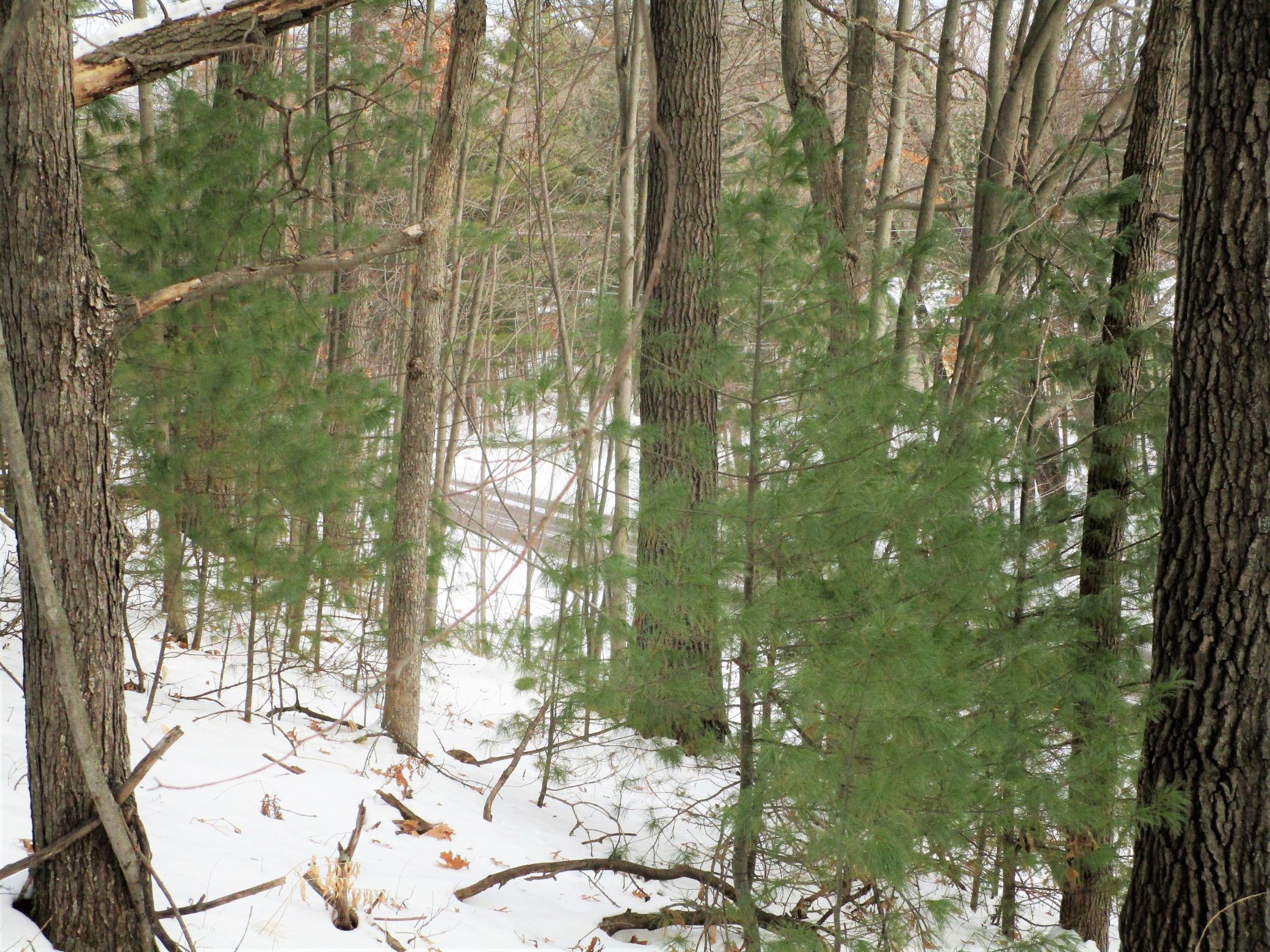 .74 Acre Lot