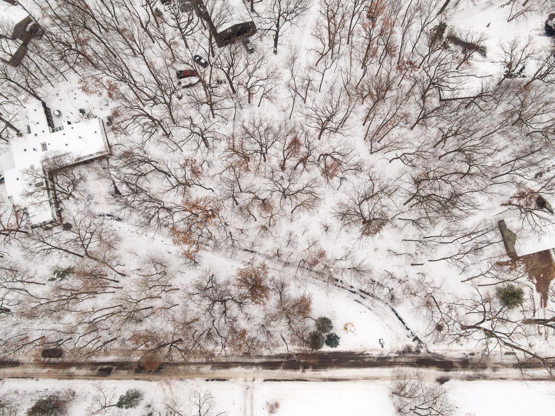 Wooded lot with gradual slope. Depending how site is developed, very likely a portion of the driveway will be shared.