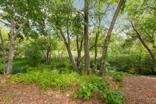 With towering trees and beautiful wetlands, the backyard is a private oasis.